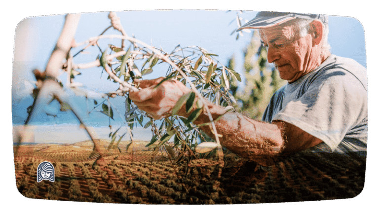 zeytin-video-frame-mutluannecom-800