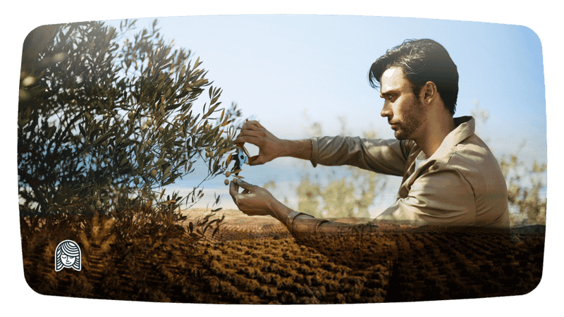 zeytin-video-frame2-mutluannecom-800